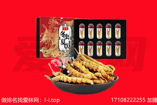 渌口区回收虫草.jpg